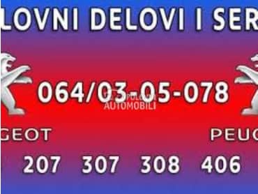 BRANIK za Peugeot 307 od 2003. do 2009. god.