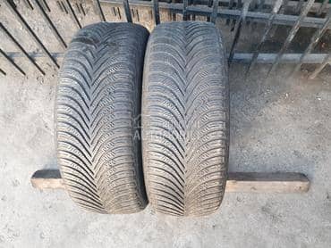 Michelin 205/55 R16 Sve sezone