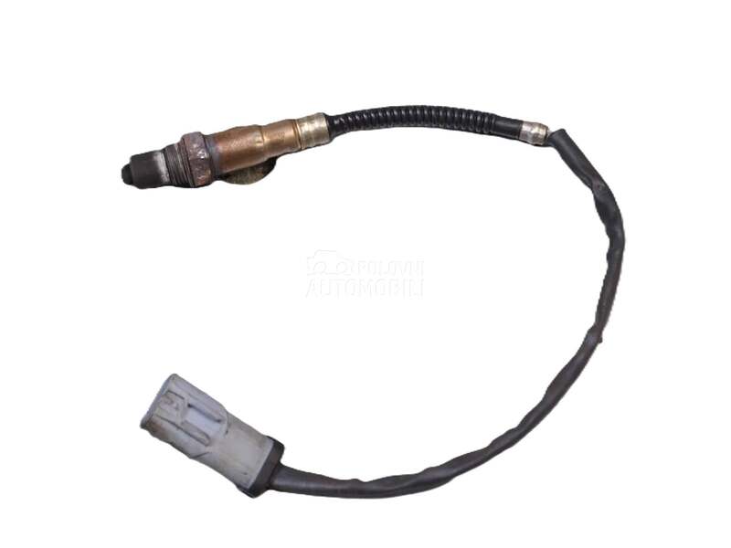 1.9 dCi Senzor, sonda