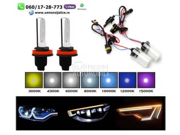 Xenon sijalica h8 6000k ksenon  