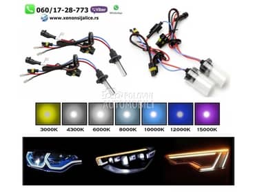 Xenon sijalica d2h 6000k ksenon  