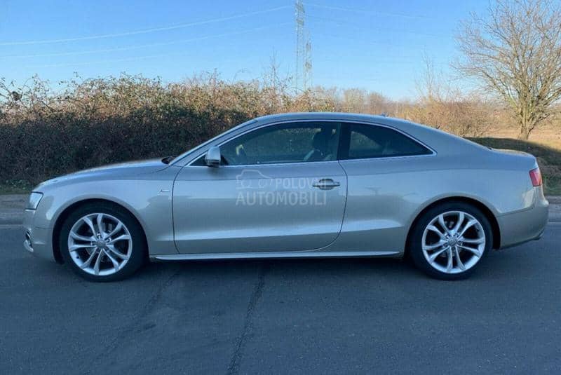 8t3 plastike enterijera