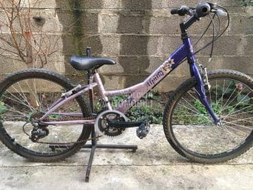 Alpina Santa Fe 240 Ljubicasta