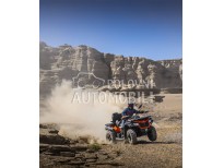 CFMOTO CFORCE 625 EPS  