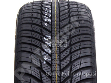 Nexen 205/55 R16 Sve sezone