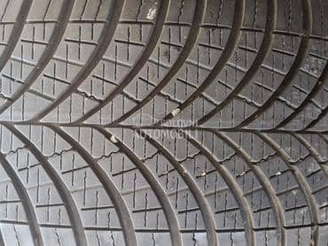 Goodyear 235/55 R17 Sve sezone