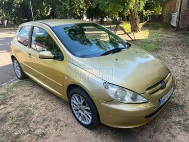 BRANIK za Peugeot 307