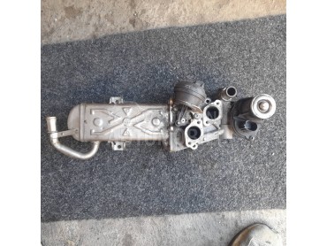 Hladnjak EGR ventila za Volkswagen Passat B7