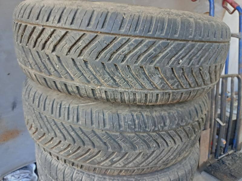 Riken 195/65 R15 Zimska