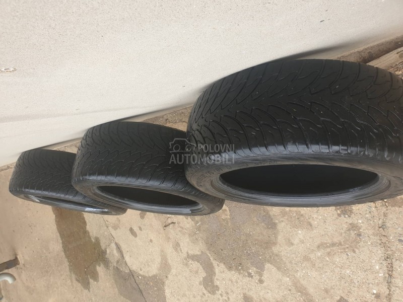 Federal 255/50 R19 Sve sezone