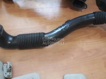 Crevo usisa za Peugeot 407