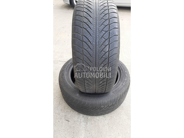 Goodyear 255/50 R19 Zimska