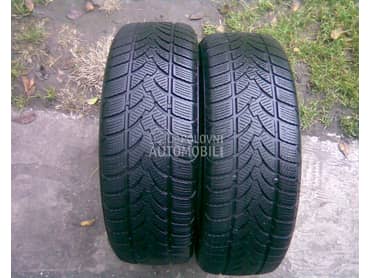 Platin Germany 195/55 R16 Zimska