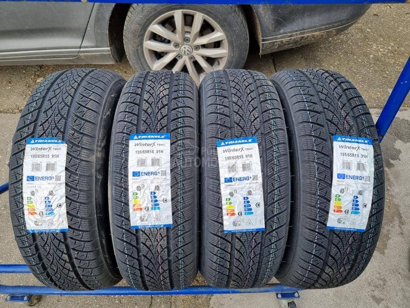 Triangle 195/65 R15 Zimska