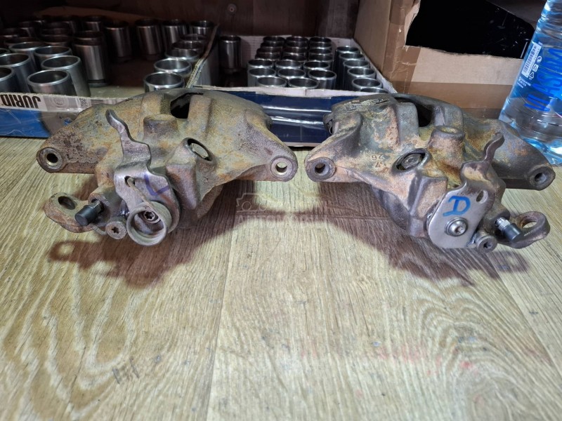 Kociona Klesta Prednja