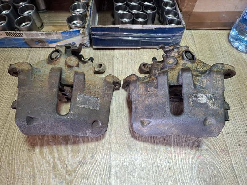 Kociona Klesta Prednja