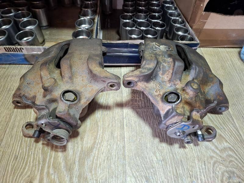 Kociona Klesta Prednja