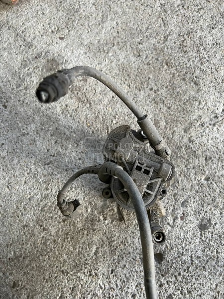 Zadnja kociona klesta