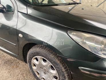 Blatobran i krilo za Peugeot 307