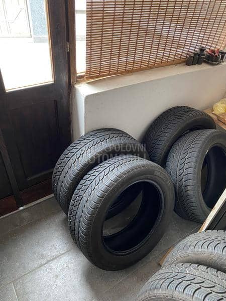 Sava 205/55 R16 Zimska