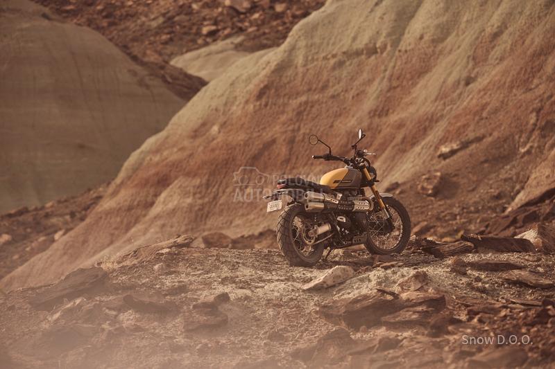 Triumph Scrambler 900