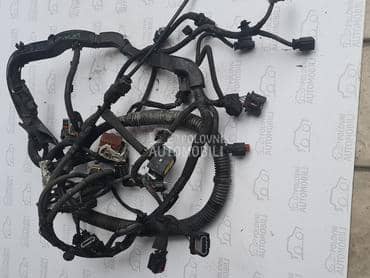 Motorna instalacija 2.0hdi za Fiat Scudo od 2010. do 2016. god.