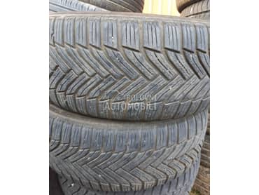 Michelin 225/55 R16 Sve sezone