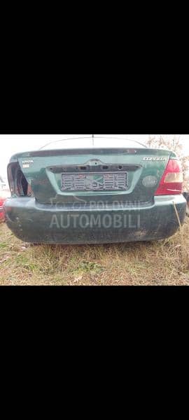 Magistrala nosac dizni