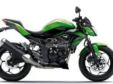 Kawasaki Z 250 16
