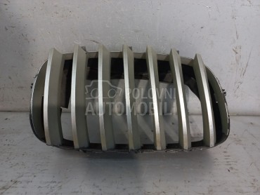 RESETKA BRANIKA za BMW X5