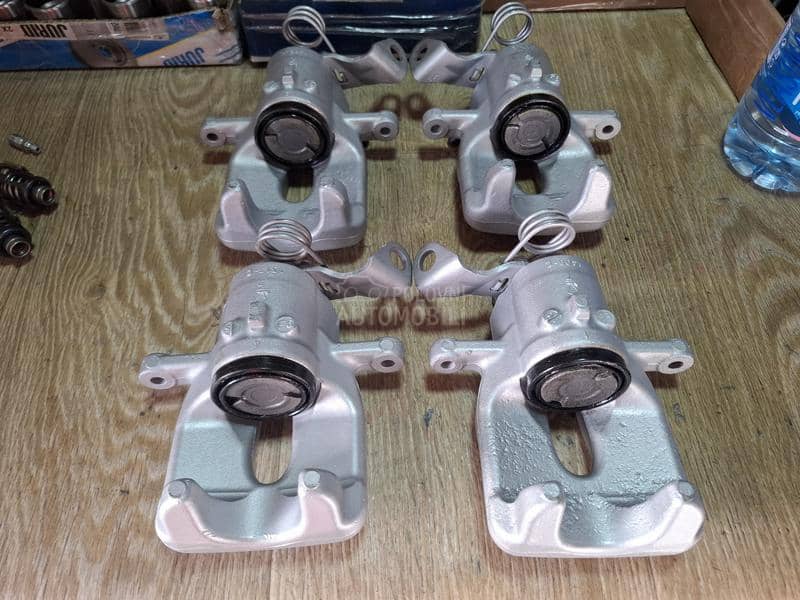 kociona klesta zadnja