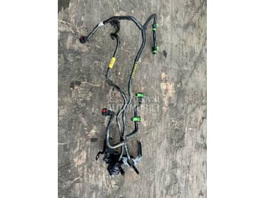 cev nafte transit custom