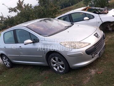 Nosaci branika za Peugeot 307 od 2001. do 2008. god.