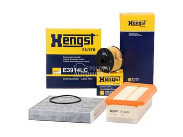 Mali Servis 1.2 1.3 za Renault Grand Scenic, Scenic od 2016. do 2022. god.