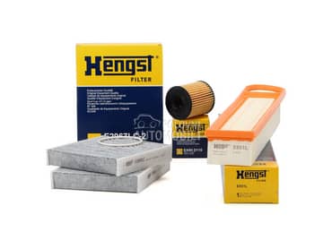 Mali Servis 1.2 1.4 1.6 za Peugeot 208 od 2012. do 2019. god.