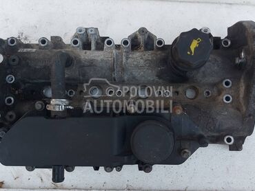 GLAVA BREGASTE DEKLO DUCATO