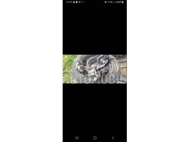 Turbina Pezo 407 2.0hdi za Peugeot 407