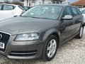 Audi A3 1.6 TDI koza
