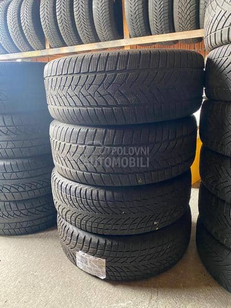 Continental 225/50 R17 Zimska