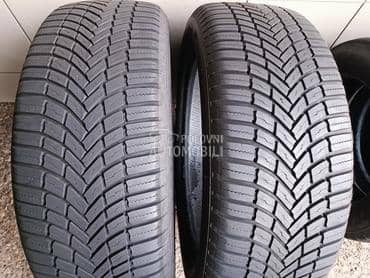 Bridgestone 225/55 R19 Sve sezone