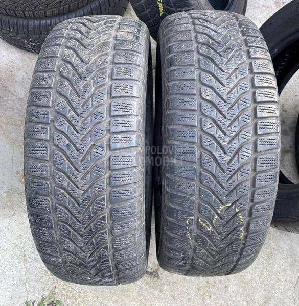 Lassa 205/55 R16 Zimska
