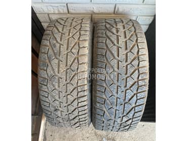 Riken 225/45 R17 Zimska