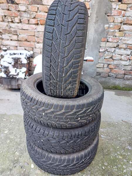 Riken 205/55 R16 Zimska