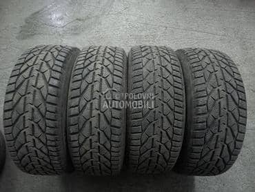 Riken 225/55 R16 Zimska
