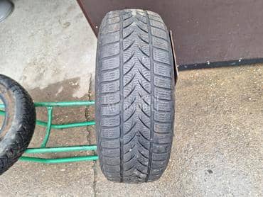 Platin Germany 195/65 R15 Zimska