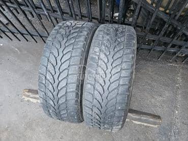 Bridgestone 205/55 R16 Sve sezone