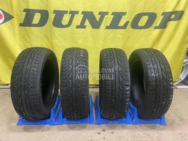 Apollo 185/55 R15 Zimska