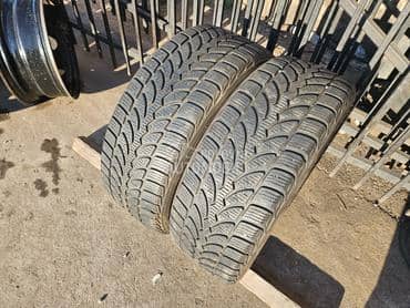 Bridgestone 205/55 R16 Sve sezone