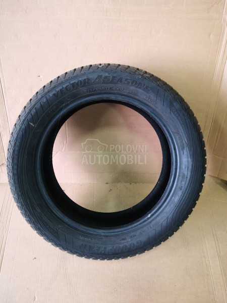 Goodyear 215/55 R17 Sve sezone
