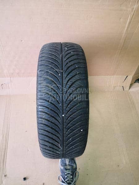 Goodyear 215/55 R17 Sve sezone